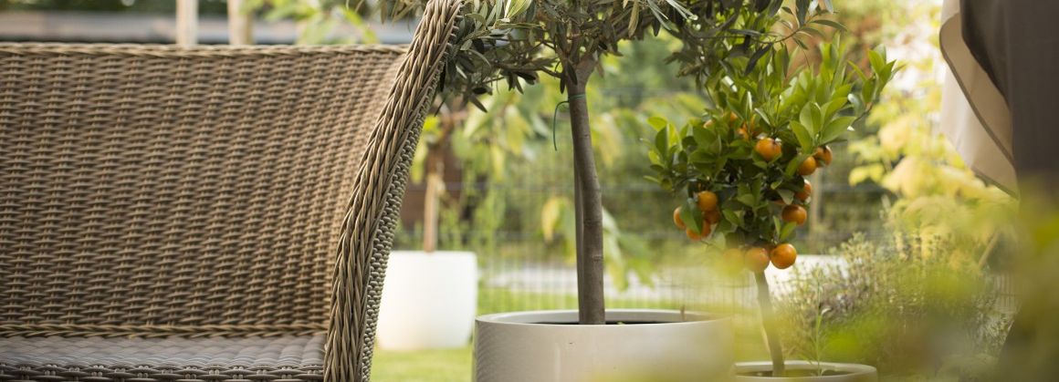 Mediterrane Terrasse