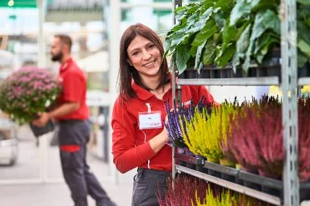 Person sortiert Pflanzen in Gartencenter