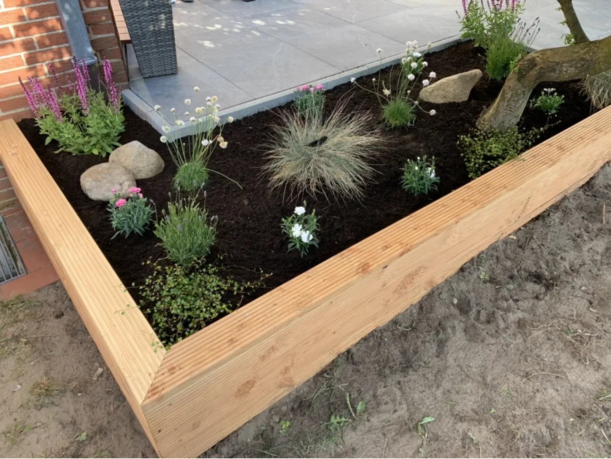 Holzrahmen eines Hochbeets mit Pflanzen