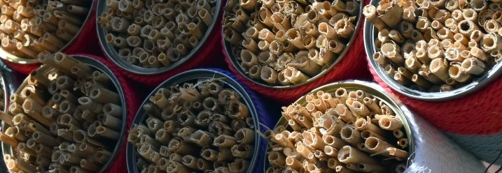 Insektenhotel aus Dosen