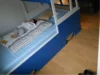 Kind in einem blauen Hochbett in Form eines Busses