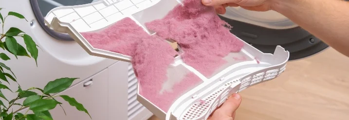 Person hält Flusensieb mit Staub