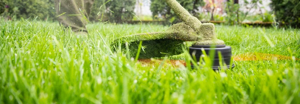 Rasentrimmer mäht Rasen