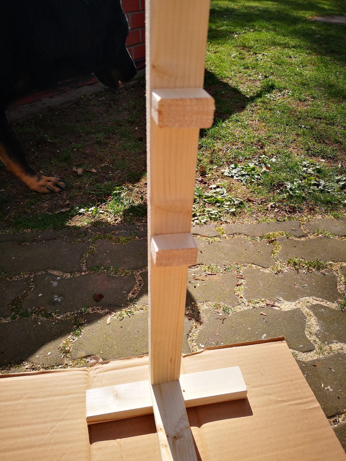 Hobby-Horse-Hindernisse 