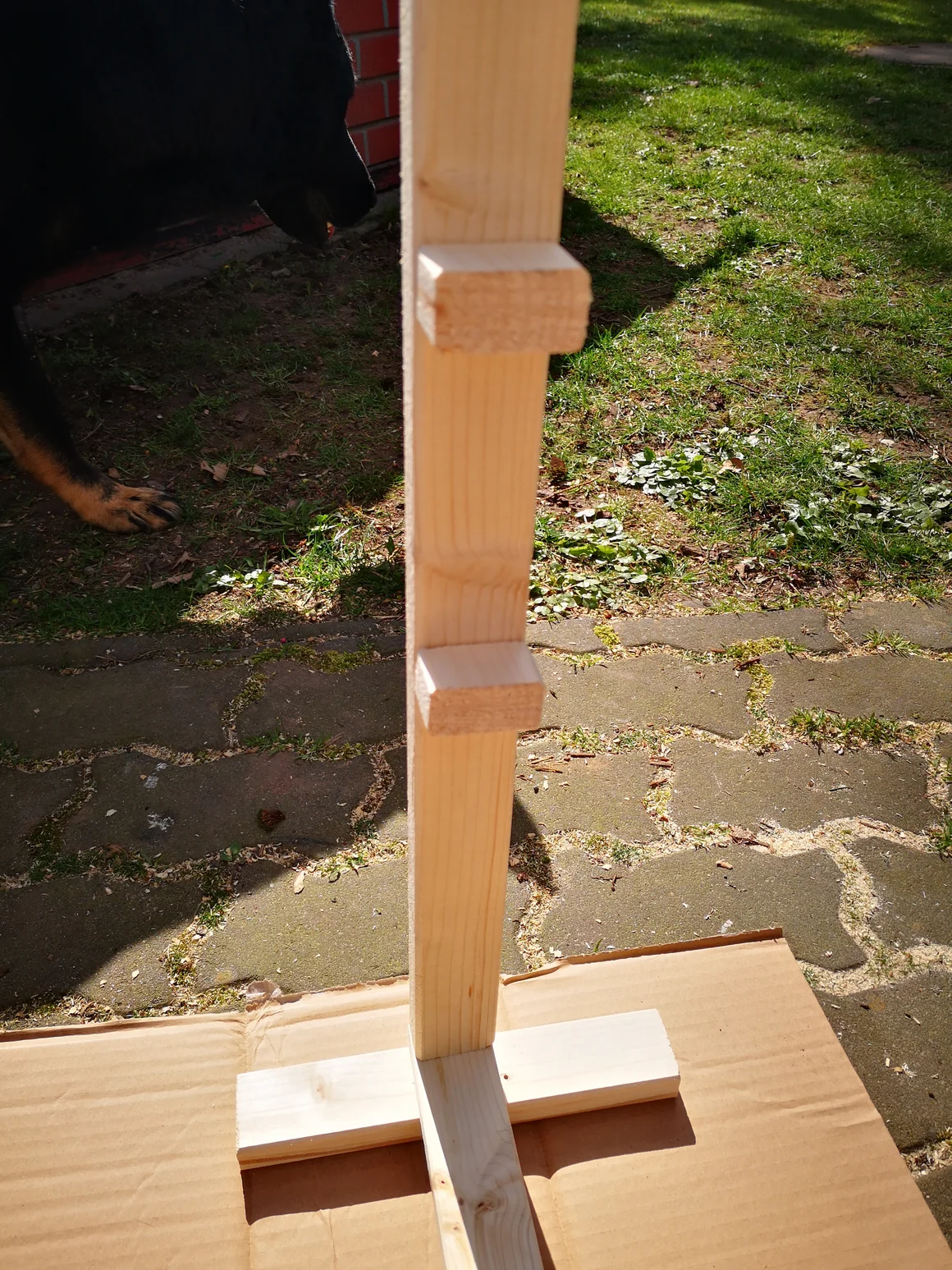 Hobby-Horse-Hindernisse 