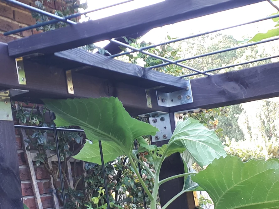 Holzgerüst für Kletterpflanzen