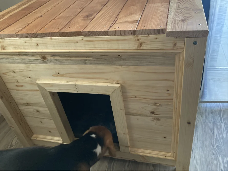 Hundehütte aus Holz