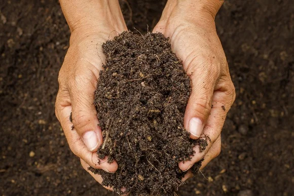 Hände halten dunkle, krümelige Erde.