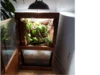 Beleuchtetes Terrarium mit Bepflanzung