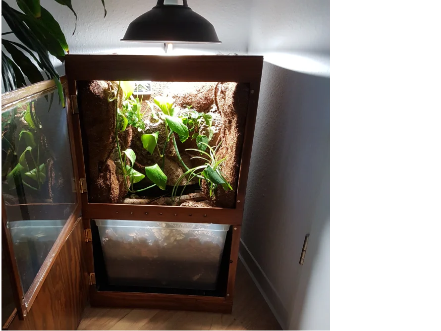 Beleuchtetes Terrarium mit Bepflanzung