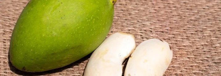 Mango und Mangokerne