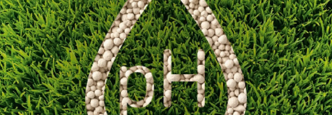 pH-Wert auf grünem Rasen