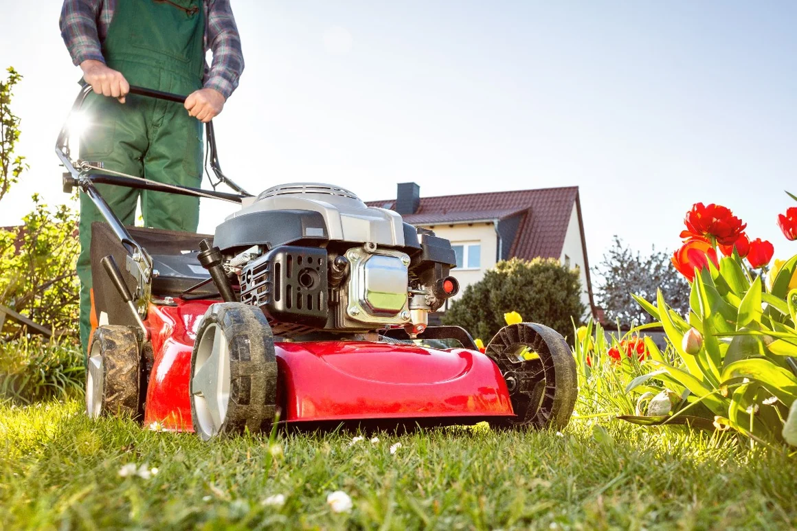 Person mäht Rasen mit Rasenmäher