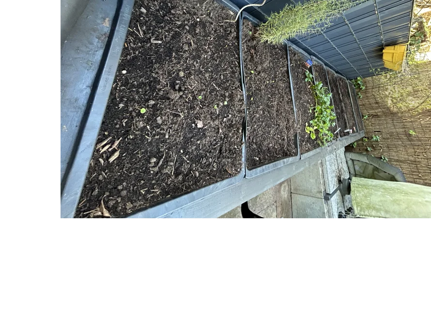 Fünf Hochbeete mit Erde befüllt