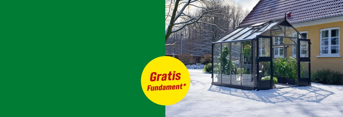 Gratis Fundament* Schwarzes Gewächshaus steht in einem verschneiten Garten neben einem Haus.