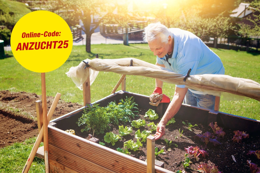 Online-Code: ANZUCHT25