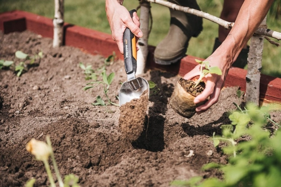 Person pflanzt mit Schaufel Pflanze ein
