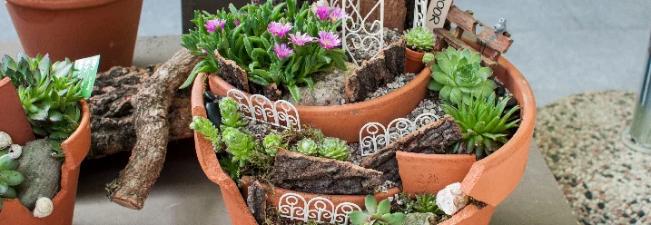 Sukulenten in Tontöpfen