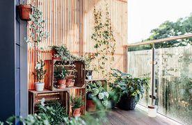 Pflanzen auf Balkon vor Holzpanelen