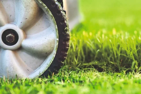 Rasenmäher auf grünem Rasen