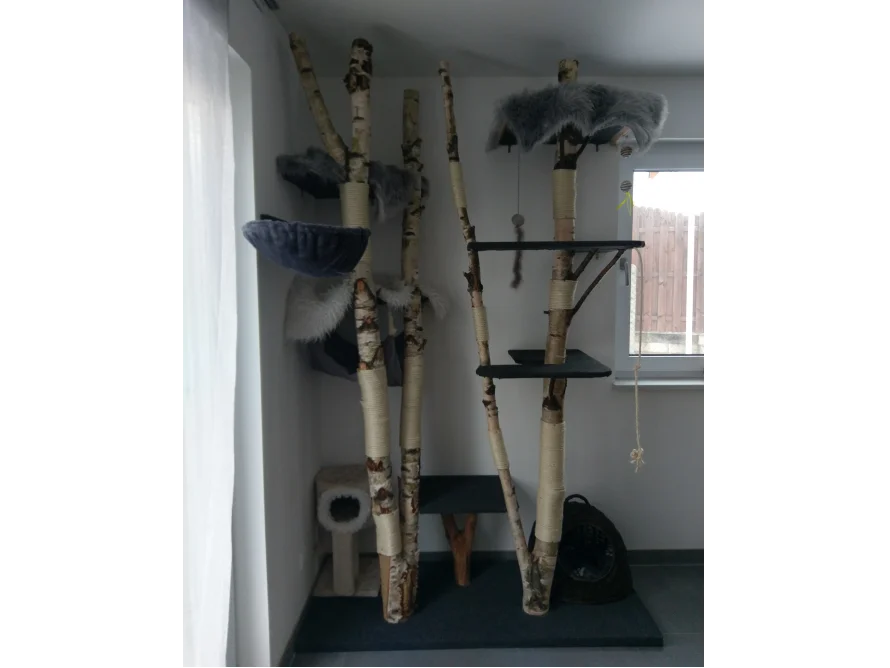 DIY Idee: Natur-Kratzbaum Birke zum Selberbauen