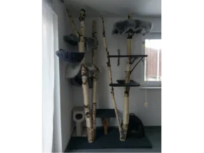 Natur-Kratzbaum Birke