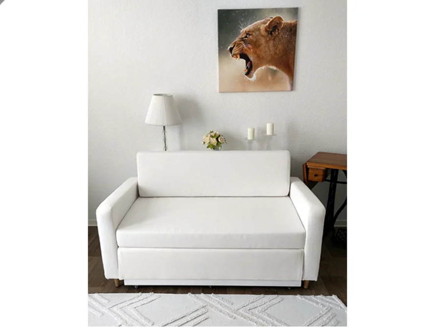 Weißes Schlafsofa in einem Zimmer