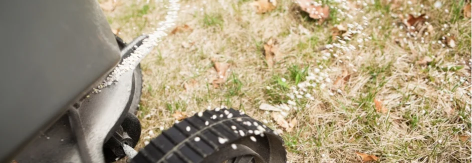 Rasendünger wird auf Rasen verteilt