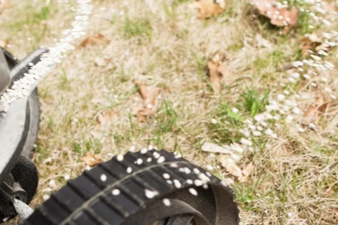 Rasendünger wird auf Rasen verteilt