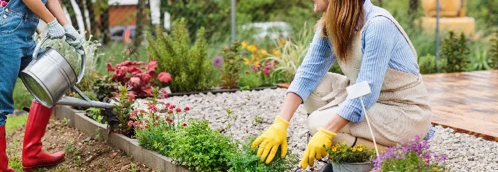 Zwei Personen beim Gärtnern