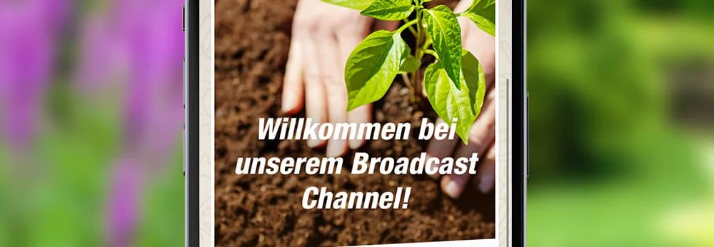 Smartphone mit der Anzeige eines Baumarkt-WhatsApp-Kanals