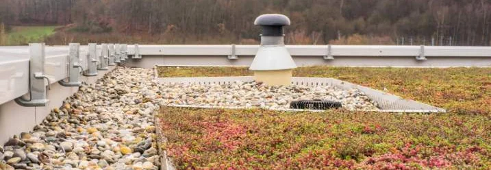 Begrüntes Flachdach mit Attika, Aussparungen und Kiesstreifen.