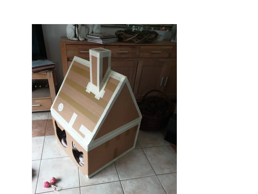 Katzenhaus aus Pappe