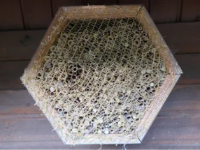 Sechseckiges Insektenhotel an Holzwand