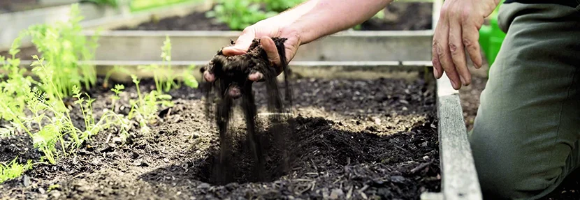 Person hält dunkle Erde in der Hand.