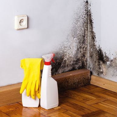 Schimmelentferner und Handschuhe neben einer schimmeligen Wand