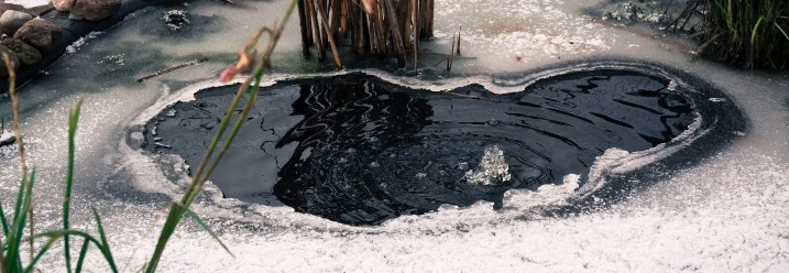 Teich im Winter mit Eisschicht