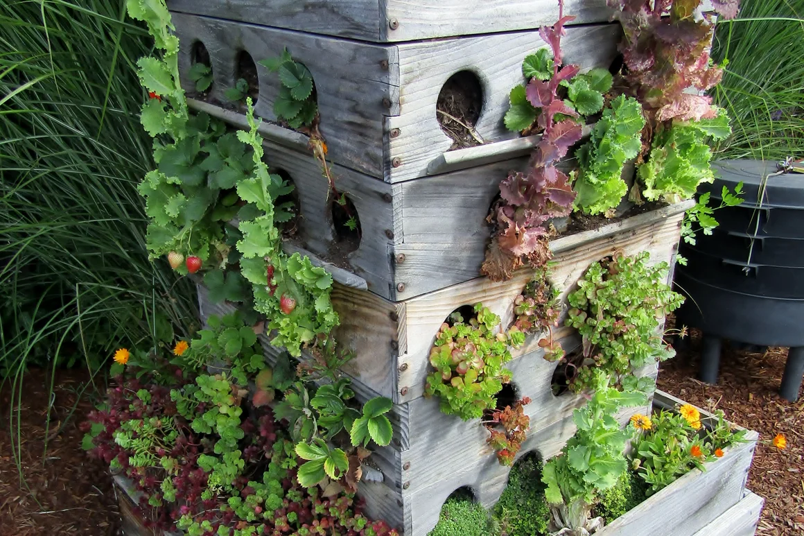 Vertikaler Garten mit Erdbeeren und Salat