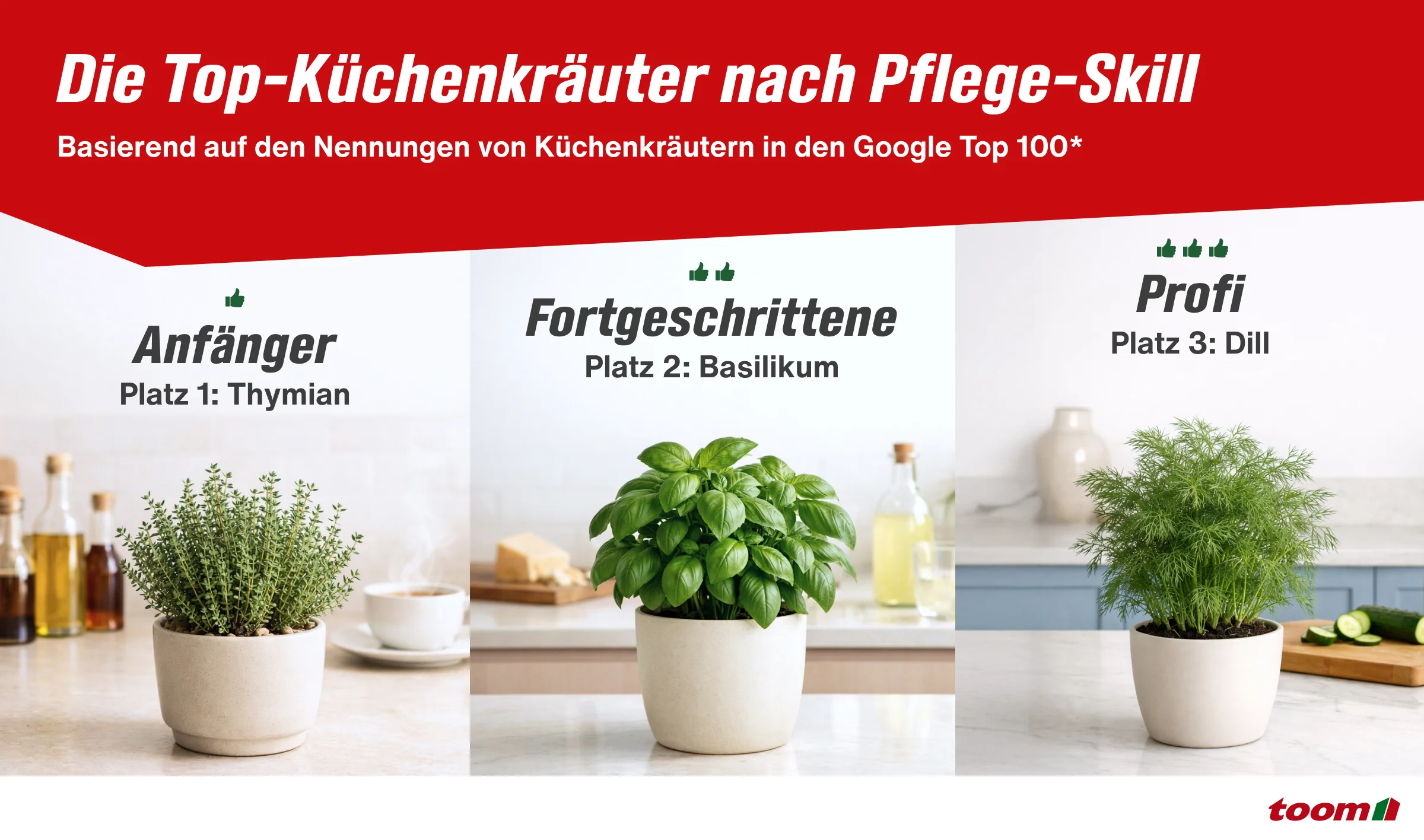 Infografik der Top-Küchenkräuter nach Pflege-Skill - Thymian, Petersilie, Dill