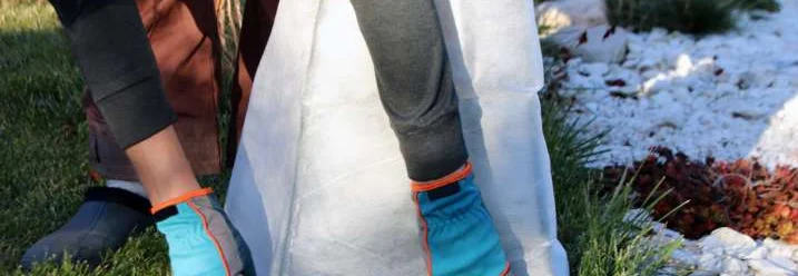 Zwei Personen bedecken eine Pflanze mit einem Winterschutzvlies.