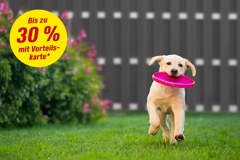 Bis zu 30 % mit Vorteilskarte*