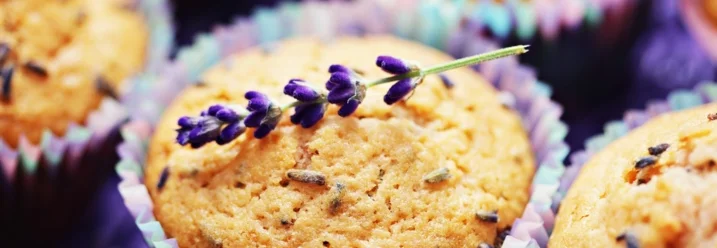 Lavendelmuffins