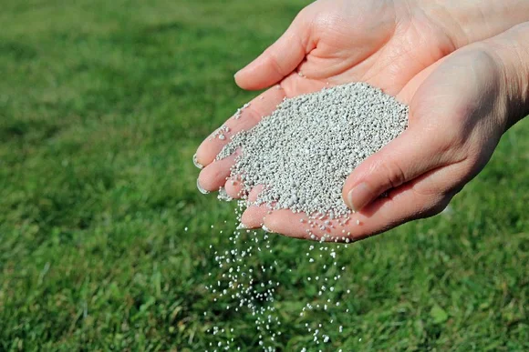 Hände streuen Dünger auf Rasen