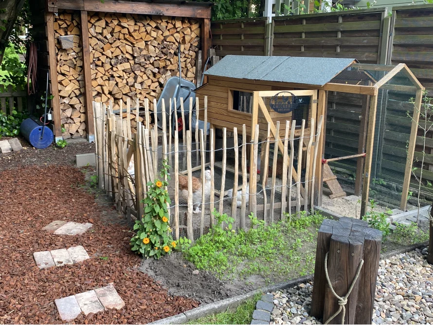 Hühnerstall im Garten mit Hühnern