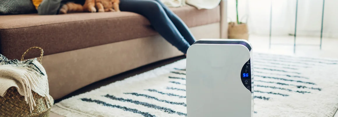 Luftentfeuchter im Wohnzimmer