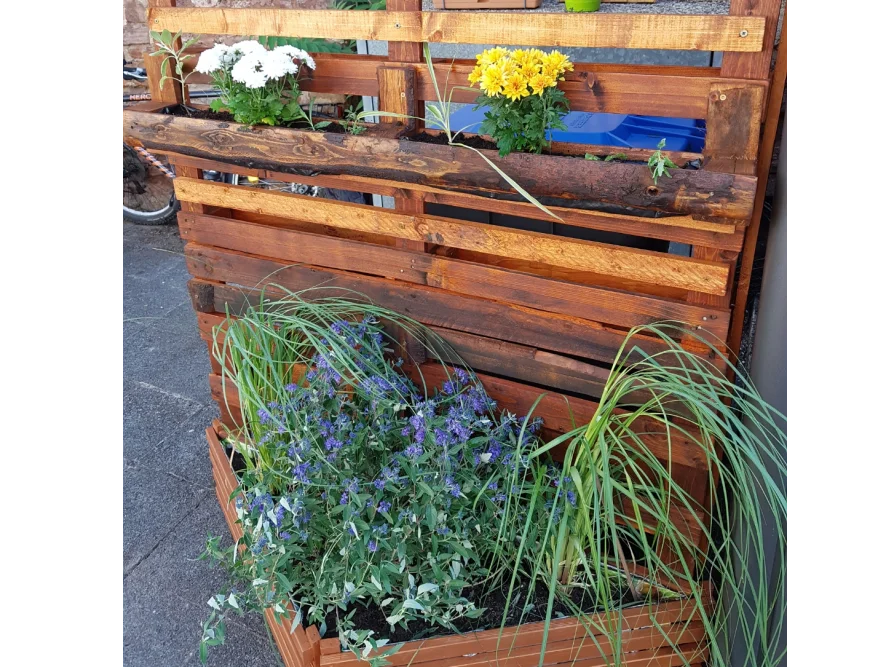 Vertikaler Garten mit Paletten gebaut