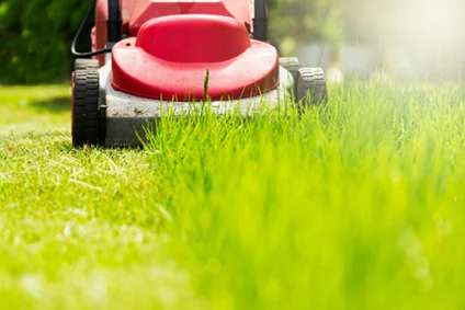 Roter Rasenmäher mäht Rasen