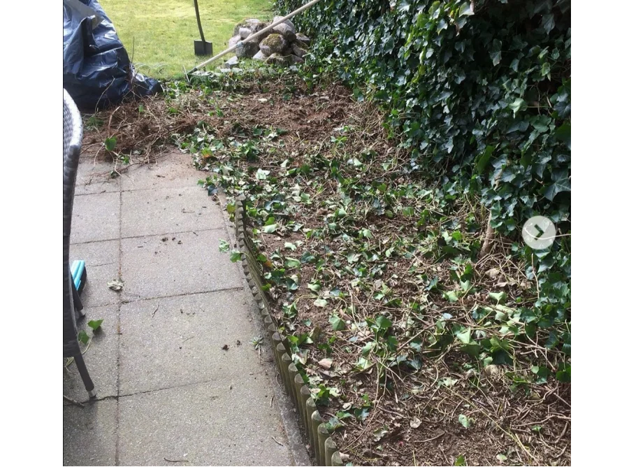 Gartenarbeit mit Rechen