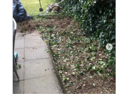 Gartenarbeit mit Rechen