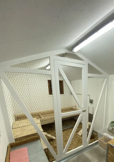 Hühnerstall mit Nestern und Sitzstangen